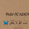 bent omer - @bent.omer0 - TikTok