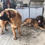 Ben Tommy - @bentommy345678 - Instagram