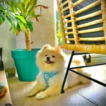 Tommy - @bentommy34 - Instagram