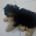 Bento Nery - @bento.nery - Instagram