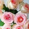 Benny Toombs - @benny.toombs - TikTok