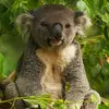 Ben Toone - @ben.toone4 - TikTok