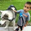 Ben - @ben_torres_ - TikTok