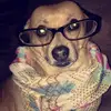 ben_Torrez_23 - @ben_torrez_23 - TikTok