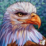 Ben Torrez - @torrezben55 - Instagram