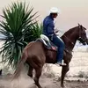 Benja Tostado - @benjatostado.02 - TikTok
