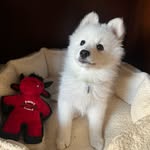 Bento<3 - @bentothespitzz - Instagram
