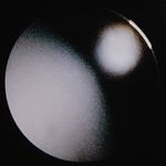 Ben Tousley - @bentousley - Instagram