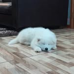 @ben_.towers - Instagram