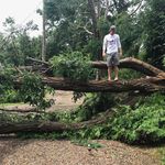 Ben Towler - @ben3towler - Instagram