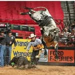 Rebecca Messenger - @bentrailbuckingbullsllc - Instagram