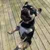 B - @ben.trant.98 - TikTok
