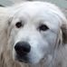 Ben Trautman - Facebook