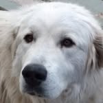 Ben Trautman - @ben.trautman.14 - Instagram