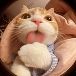 Ben Traylor - @ben.traylor - Instagram