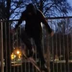 Ben Freeman Treadwell - @nxbul_let - Instagram