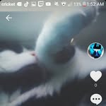 Ben Trexler - @devintrexler549 - Instagram