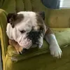 bentleyctrexler - @bentleyctrexler - TikTok