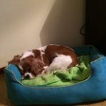 BenTrickett1324 - @bentrickett1324 - Instagram