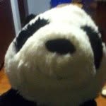 Benjamin Trickey - @benjamin_the_panda - Instagram