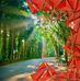 Ben Trieu - Facebook