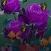 Ben Trieu - Facebook
