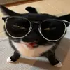 Ben Triệu - @bentrieuu - TikTok