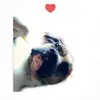 Dogs🤗 - @bennyleetriplett - TikTok