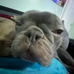 Ben Tripp - @beaughn09 - Instagram