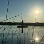 Ben Tripp - @ben_tripp - Instagram