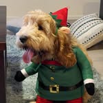 Ben Tubb - @bentubby2 - Instagram