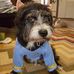 Benjamin Tuckerman - Facebook