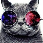 Ben Tunney - @ben_tun_ - Instagram