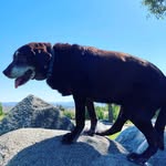Ben Tuthill - @bentut92107 - Instagram