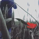 Wissal Bent - @bentwissal - Instagram