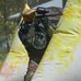 Ben Twitchell - Facebook