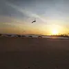 bentzoubida - @bentzoubida - TikTok