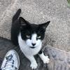 Ben Utley - @user2454803737227 - TikTok