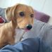 Ben Utter - Facebook