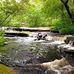 Ben Utter Trail - Facebook