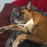 Ben Uzzell - @benuzz2008 - Instagram