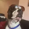 benuzzell - @benuzzell - TikTok