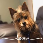 Ben Vacca - @ben.vacca - Instagram