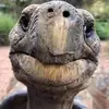 Ben Vacca - @ben.vacca - TikTok