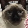 BeneValente - @benevalente - TikTok