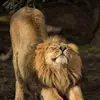 vale - @valenteben - TikTok