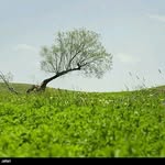 ali benvan - @benvan.ali - Instagram