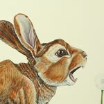 Ben Vandenberghe Art - @ben_vandenberghe_art - Instagram