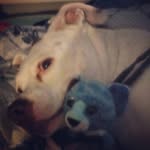 ben vanderslice9079 - @benvanderslice5594 - Instagram