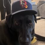 Ben Van Horn - @benvanhorn776 - Instagram